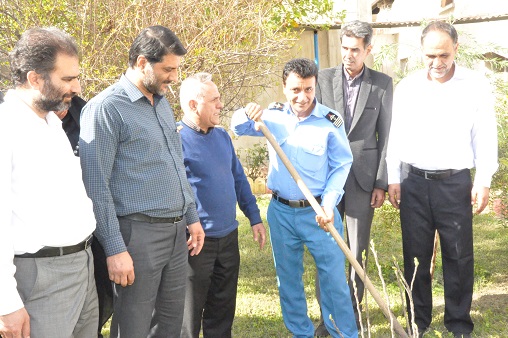 روز درختکاری