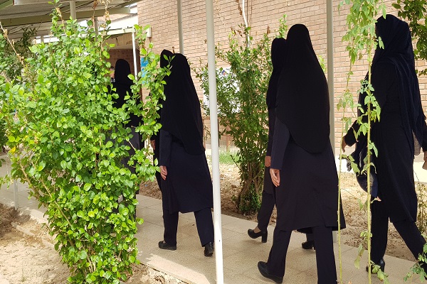 پیاده روی بیمارستان