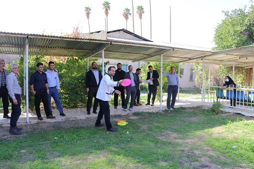 فریزبی دهه فجر