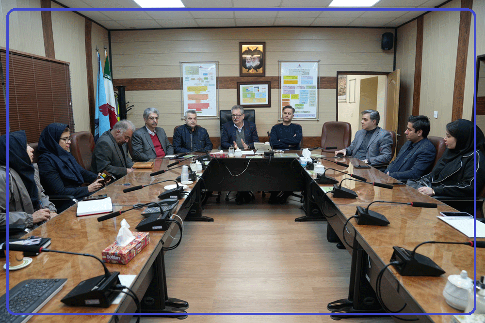 سلامت نگار  6