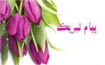 از سنگرِ جهاد تا قلمروِ سلامت؛ پیام تبریک مدیرعامل سازمان در روز پزشک