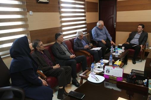 رسانه جدید