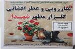هم‌زمان با هفته دولت صورت گرفت تجدید میثاق مسئولان بهداشت و درمان نفت مسجدسلیمان با آرمان‌های شهدا